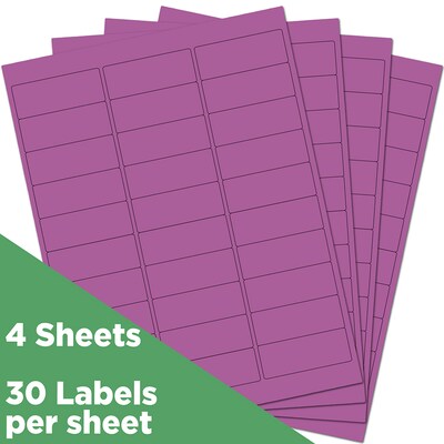 JAM Paper Laser/Inkjet Mailing Address Label, 1 x 2 5/8, Purple, 30 Labels/Sheet, 4 Sheets/Pack (3