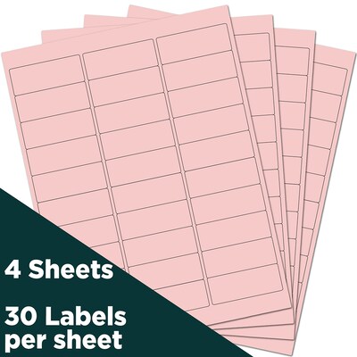 JAM Paper Laser/Inkjet Address Label, 1" x 2 5/8", Baby Pink, 30 Labels/Sheet, 4 Sheets/Pack (4052895)