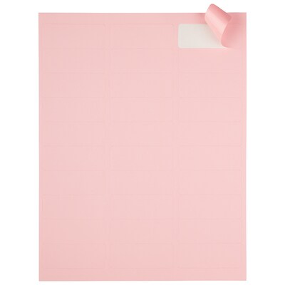 JAM Paper Laser/Inkjet Address Label, 1" x 2 5/8", Baby Pink, 30 Labels/Sheet, 4 Sheets/Pack (4052895)