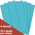 JAM Paper Laser/Inkjet Mailing Address Labels, 1 x 2 5/8, Blue, 120 Labels/Pack (302725762)