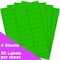 JAM Paper Laser/Inkjet Address Labels, 1" x 2 5/8", Neon Green, 30 Labels/Sheet, 4 Sheets/Pack (3543284)
