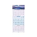 2021 AT-A-GLANCE 27 x 12 Wall Calendar, Scenic (DMW503-28-21)