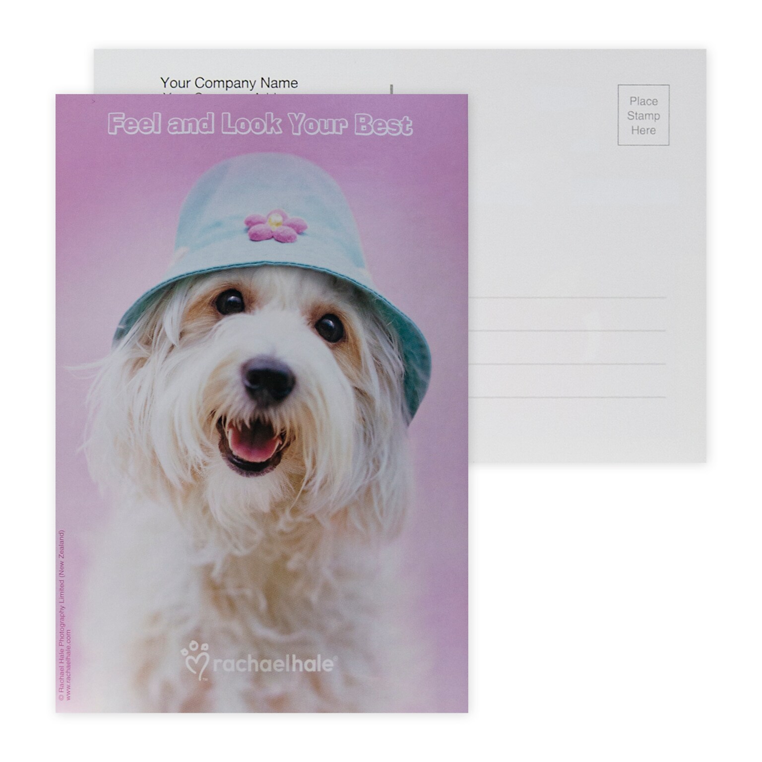 Custom Full Color Postcards, Rachel Hale Feel/Look Best, 4 x 6, 12 pt. Coated Front Side Stock, Flt Prnt, Vert, 2-Side, 100/Pk