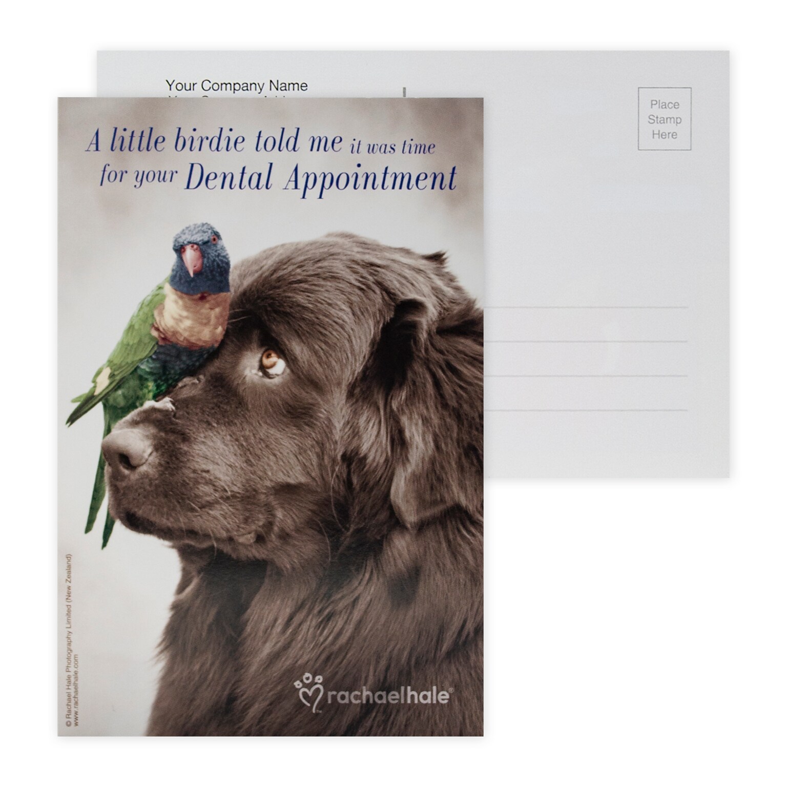 Custom Full Color Postcards, Rachel Hale Little Birdie, 4 x 6, 12 pt. Coated Front Side Stock, Flt Prnt, Horiz, 2-Side, 100/Pk