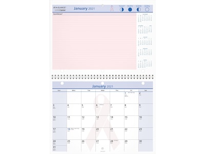 2021 AT-A-GLANCE 8 x 11 Wall Calendar, QuickNotes, Multicolor (PMPN50-28-21)