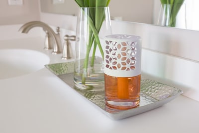 Bright Air Max Scented Oil Air Freshener, Citrus Burst, 4 oz. (BRI900440EA)