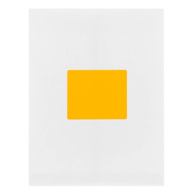 JAM Paper Shipping Labels, Large, 3 1/3 x 4, Neon Orange, 6 Labels/Sheet, 20 Sheets/Pack (354328043)