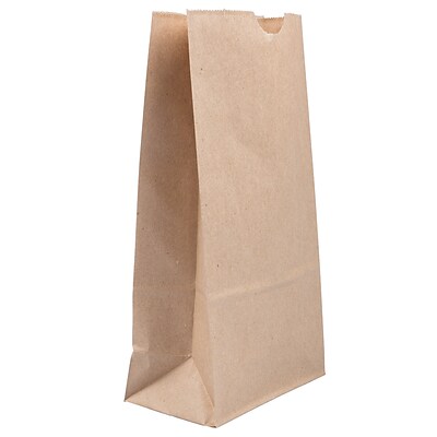 JAM Paper Kraft Lunch Bags, Medium, 5 x 9.75 x 3, Brown Kraft Recycled, Bulk 500 Bags/Box (691KRBRB)