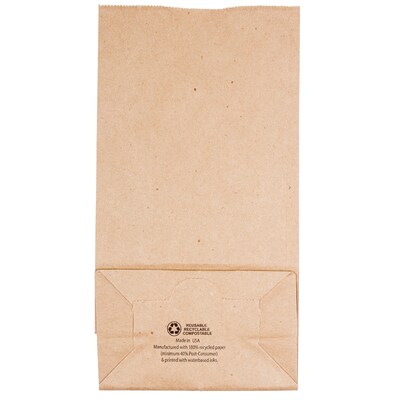 JAM Paper Kraft Lunch Bags, Medium, 5" x 9.75" x 3", Brown Kraft Recycled, Bulk 500 Bags/Box (691KRBRB)