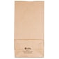 JAM Paper Kraft Lunch Bags, Medium, 5" x 9.75" x 3", Brown Kraft Recycled, Bulk 500 Bags/Box (691KRBRB)