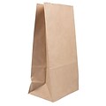 JAM Paper Kraft Lunch Bag, Large, 6 x11 x 3.5, Brown, 500/Pack (692KRBRB)