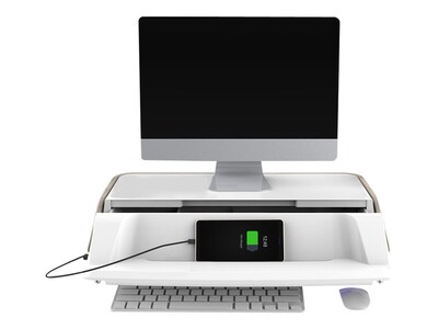 Flexispot MonitorStand Workstation, 17-30 Monitor, Light Tan (S6T)