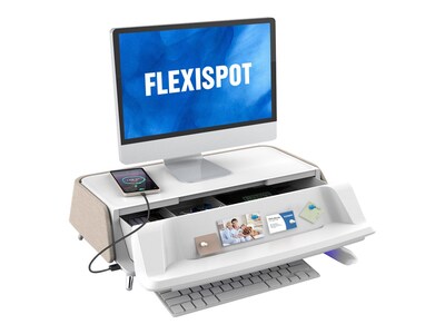 Flexispot MonitorStand Workstation, 17"-30" Monitor, Light Tan (S6T)