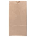 JAM Paper Kraft Lunch Bags, Medium, 9.75 x 5 x 3, Brown Kraft Recycled, 25/Pack (691KRBR)