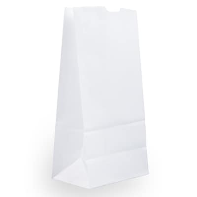 JAM Paper Kraft Lunch Bags, Medium, 9.75 x 5 x 3, White, 25/Pack (691KRWH)