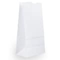 JAM Paper Kraft Lunch Bags, Medium, 9.75 x 5 x 3, White, 25/Pack (691KRWH)