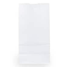 JAM Paper Kraft Lunch Bags, Medium, 9.75 x 5 x 3, White, 25/Pack (691KRWH)