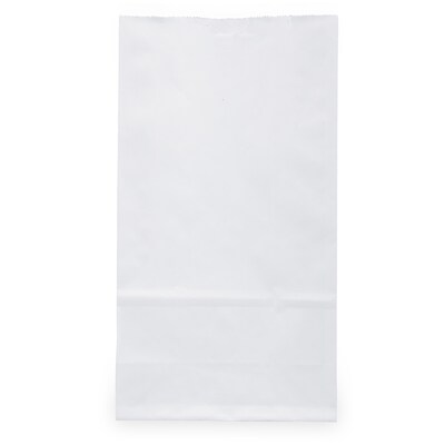 JAM Paper Kraft Lunch Bags, Small, 8" x 4.25" x 2.25", White, 25/Pack (690KRWH)