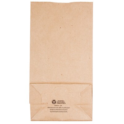 JAM Paper Kraft Lunch Bags, Medium, 9.75" x 5" x 3", Brown Kraft Recycled, 25/Pack (691KRBR)