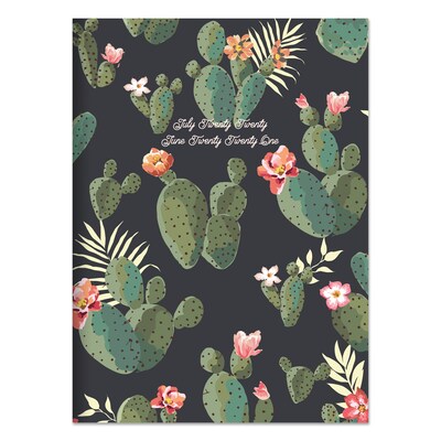 2020-2021 TF Publishing 7.5 x 10.25 Planner, Cacti Colors (21-4211A)