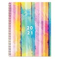 2020-2021 TF Publishing 8.5 x 11 Planner, Colorful, Painted Stripe (21-9712A)