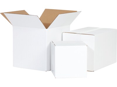 12 x 10 x 6 Shipping Box, 32 ECT, White, 25/Bundle (BS121006W)