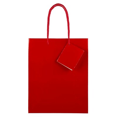 JAM Paper Glossy Gift Bag, Medium, Red, 6 Bags/Pack (672GLrea)