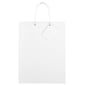 JAM Paper Glossy Gift Bag, Large, White, 6 Bags/Pack (673GLwha)