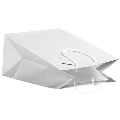 JAM Paper Glossy Gift Bag, Large, White, 6 Bags/Pack (673GLwha)