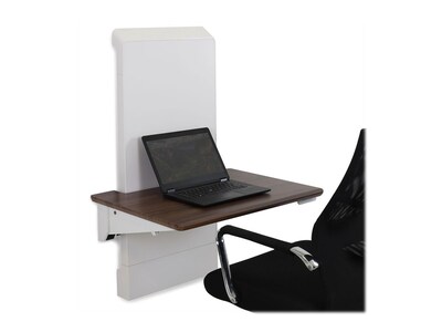 Ergotron WorkFit Elevate 28" Wall Mounted Sit & Stand Desk, Snow White/Walnut Hills (24-804-S894)