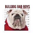 2020-2021 Willow Creek 12 x 12 Wall Calendar, Bulldog Bad Boys, Multicolor (10945)