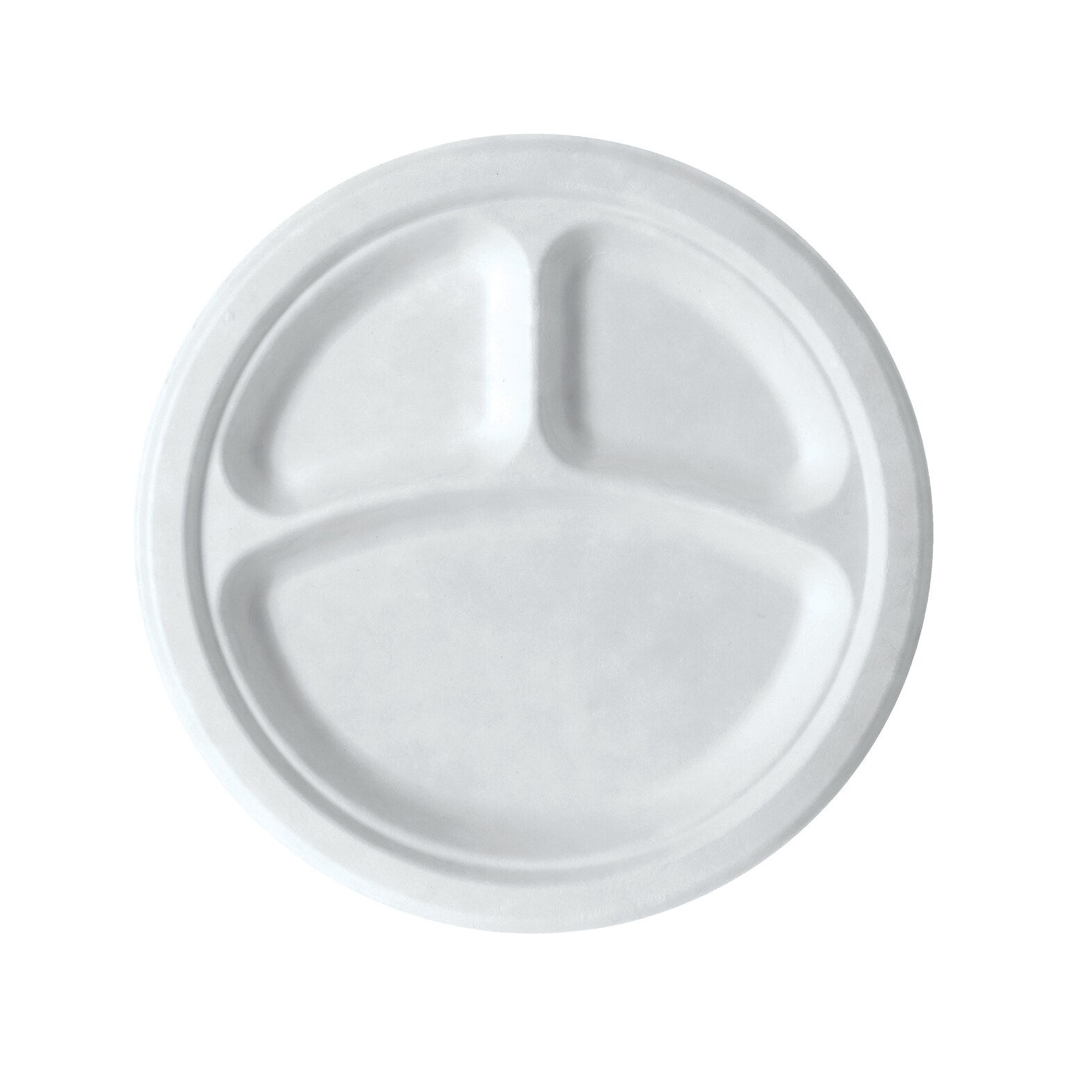 Eco-Products Vanguard Sugarcane Plate, 10, White, 500/Carton (EP-P007NFA)