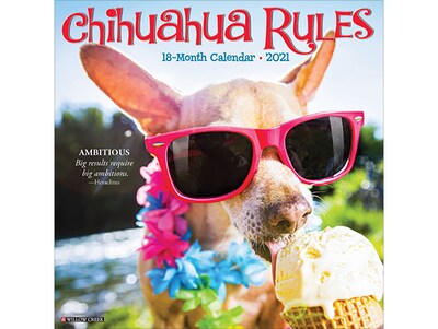 2020-2021 Willow Creek 12 x 12 Wall Calendar, Chihuahua Rules, Multicolor (11195)