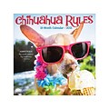 2020-2021 Willow Creek 12 x 12 Wall Calendar, Chihuahua Rules, Multicolor (11195)
