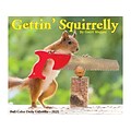 2021 Willow Creek 4.25 x 5.25 Desk Calendar, Gettin Squirrelly, Multicolor (15360)