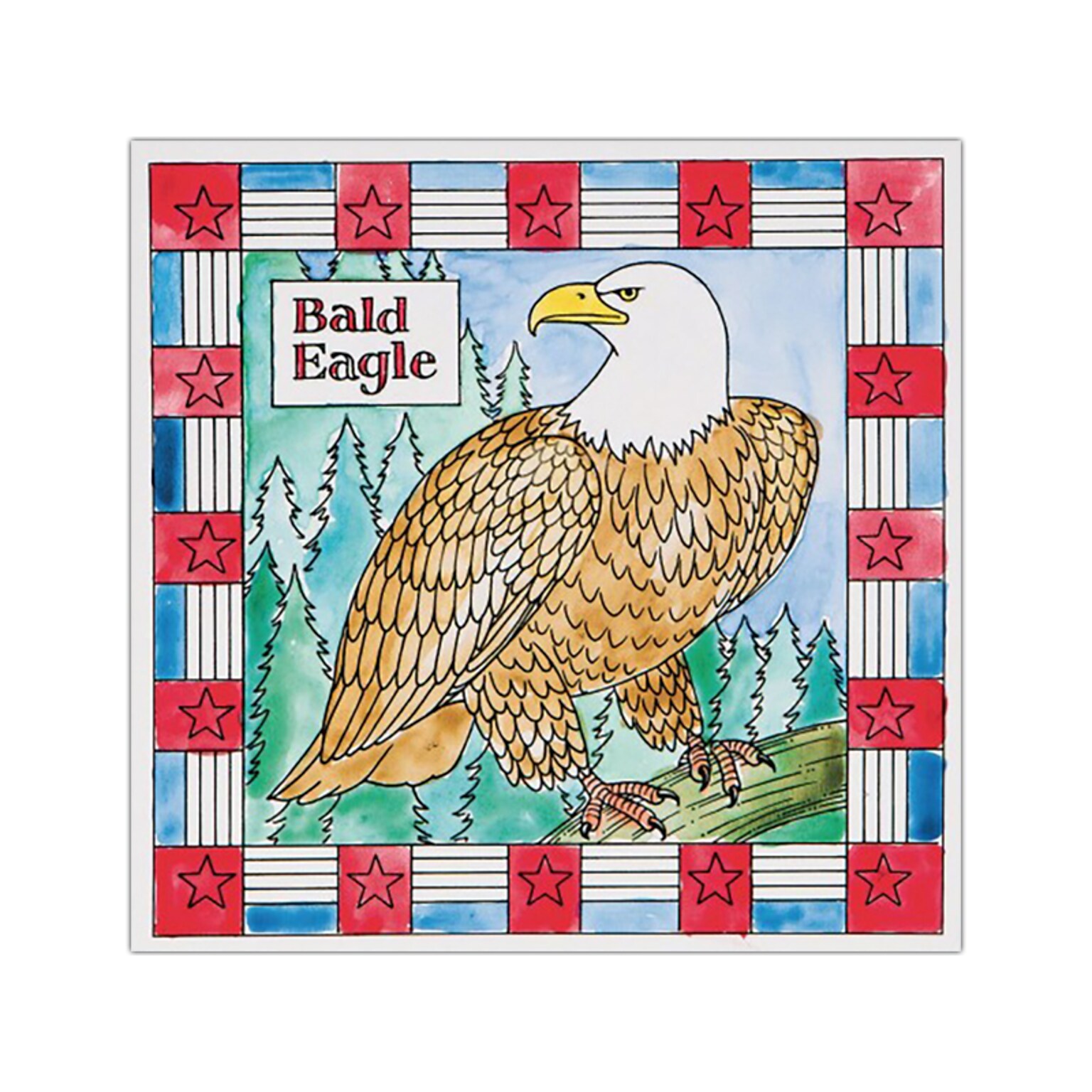 S&S Bald Eagle Painting, Multicolor, 12/Pack (GP3311)