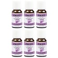 HoMedics Essential Oil, Lavender, 0.5 oz., 6-Pack (843631139233)