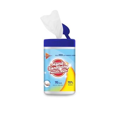 Hand Sanitizer Wipes, 70 Wipes/Pack, 24/Carton (LK24070CT) | Quill