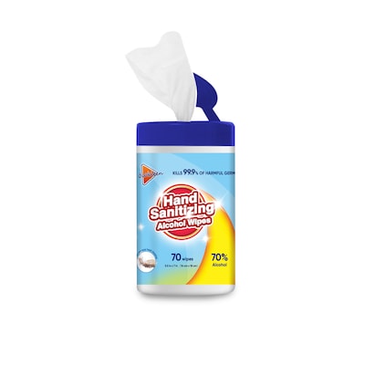 24 PACK BOX!  Hand Sanitizer Wipes, 70 Wipes/Pack, 24/Carton (LK24070CT) | Quill