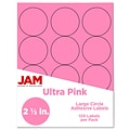 JAM Paper® Circle Round Label Sticker Seals, 2.5 Inch Diameter, Ultra Pink, 120/Pack (147628587)