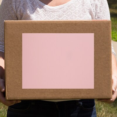 JAM Paper® Shipping Labels, 8 1/2" x 11", Baby Pink, 1 Label/Sheet, 10 Sheets/Pack (337628615)