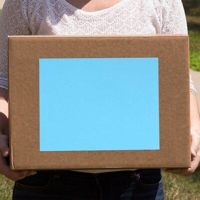JAM Paper Shipping Labels, 8 1/2" x 11", Blue, 1 Label/Sheet, 10 Labels/Pack (337628605)