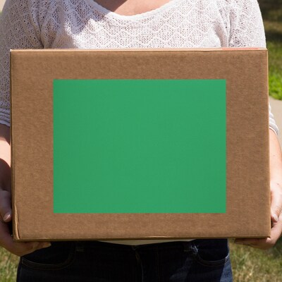 JAM Paper Shipping Labels, 8 1/2" x 11", Green, 1 Label/Sheet, 10 Sheets/Pack (337628607)