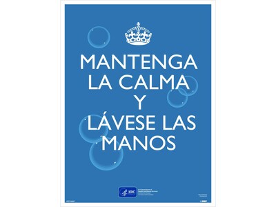 National Marker Poster, Keep Calm and Wash Your Hands, 24 x 18, Blue/White (PST156SP)