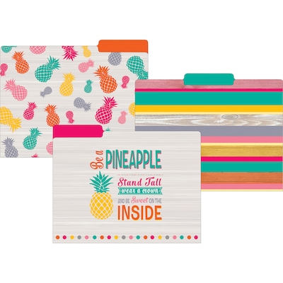 Teacher Created Resources Tropical Punch File Folders, 3-Tab, 11.75 x 9.5, Assorted Colors, 24/PK