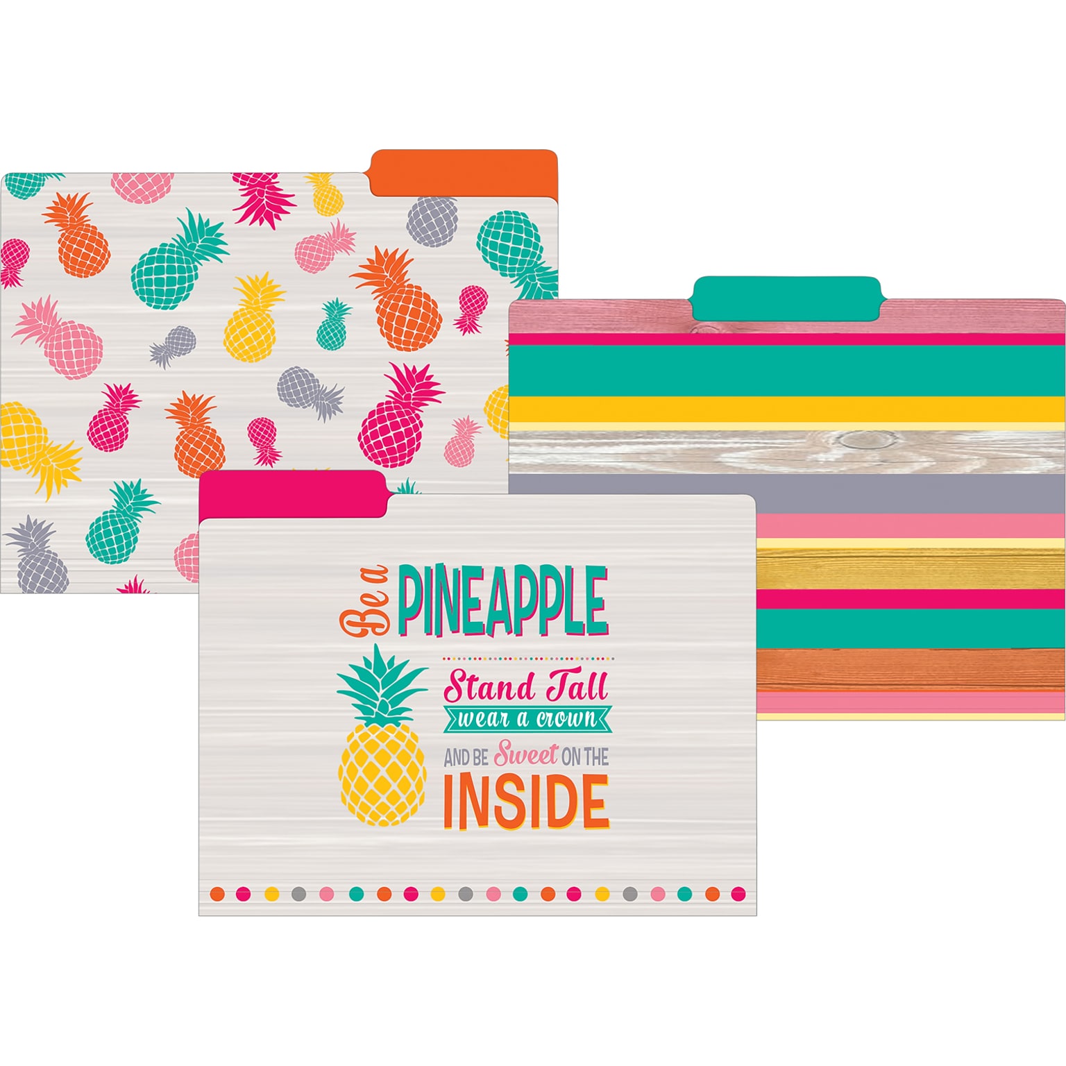 Teacher Created Resources Tropical Punch File Folders, 3-Tab, 11.75 x 9.5, Assorted Colors, 24/PK (TCR8538)