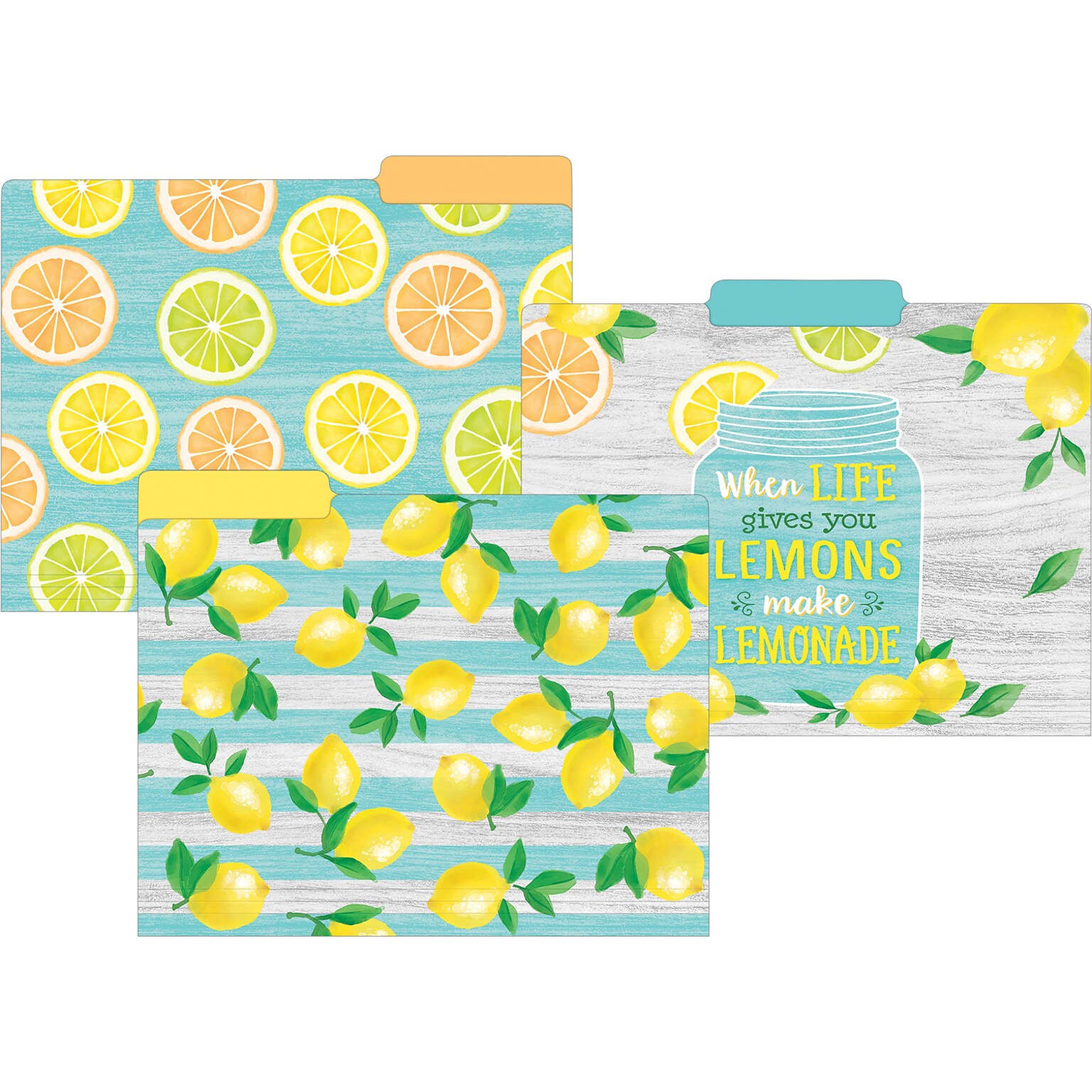 Teacher Created Resources Lemon Zest File Folder, 1/3-Cut Tab, Letter Size, Assorted Colors, 24/Pack(TCR8542-2)