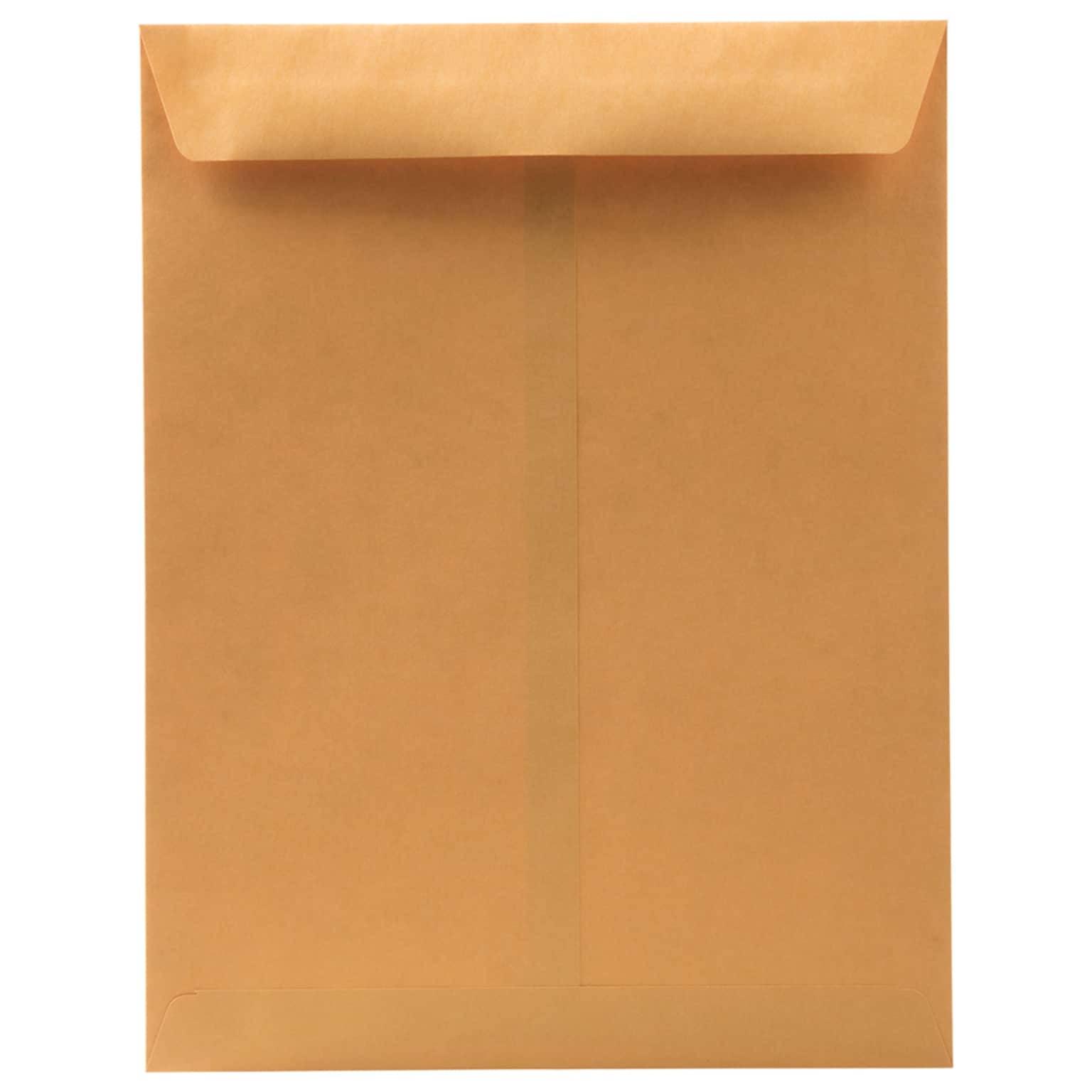 JAM Paper Premium Catalog Envelope, 10 x 13, Brown Kraft Manila, 100/Pack (V018286)