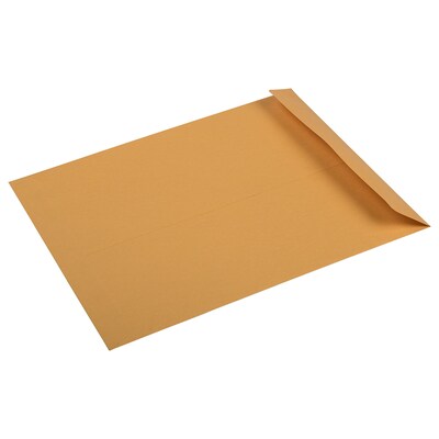 JAM Paper Premium Catalog Envelope, 10" x 13", Brown Kraft Manila, 100/Pack (V018286)