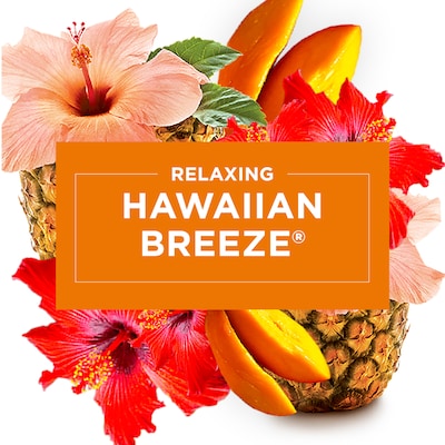 Glade PlugIns Scented Oil & Holders, Hawaiian Breeze, 0.67 Oz., 8/Pack  (313802)